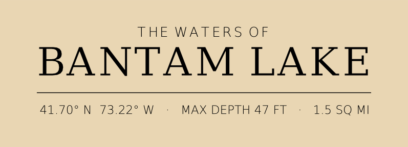 Title block preview
