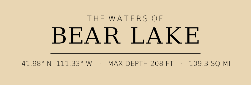 Title block preview