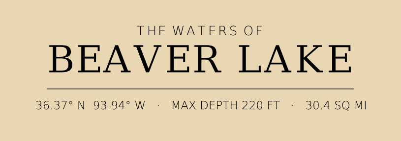 Title block preview