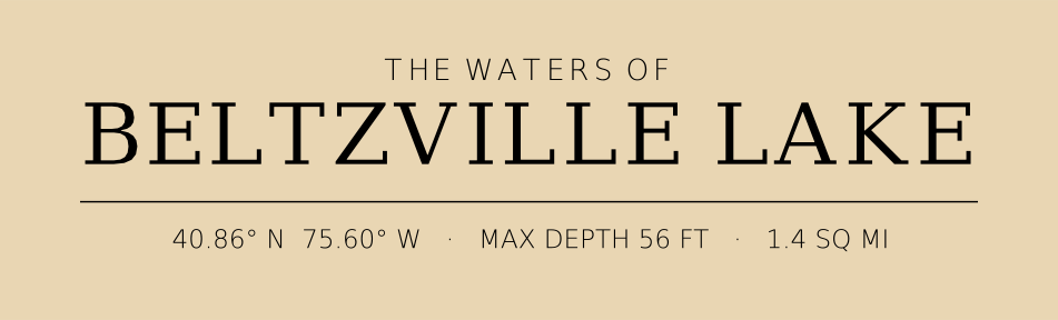 Title block preview