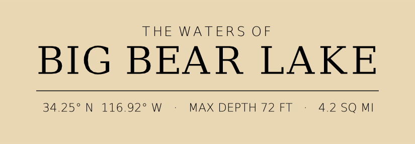 Title block preview
