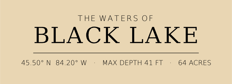 Title block preview