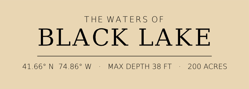 Title block preview