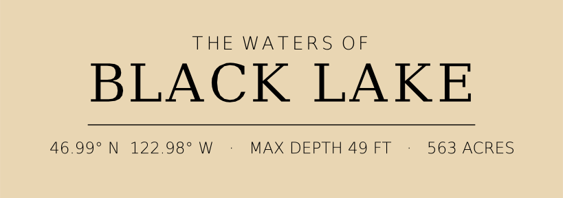 Title block preview