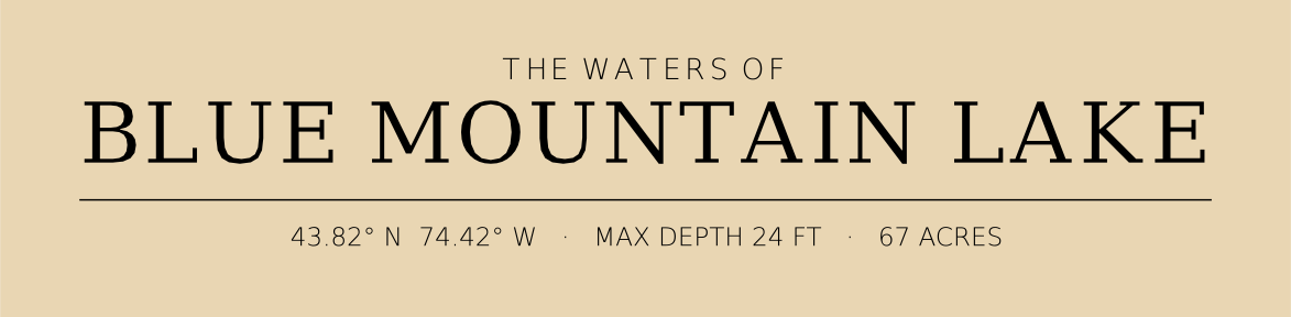 Title block preview