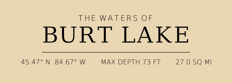 Title block preview