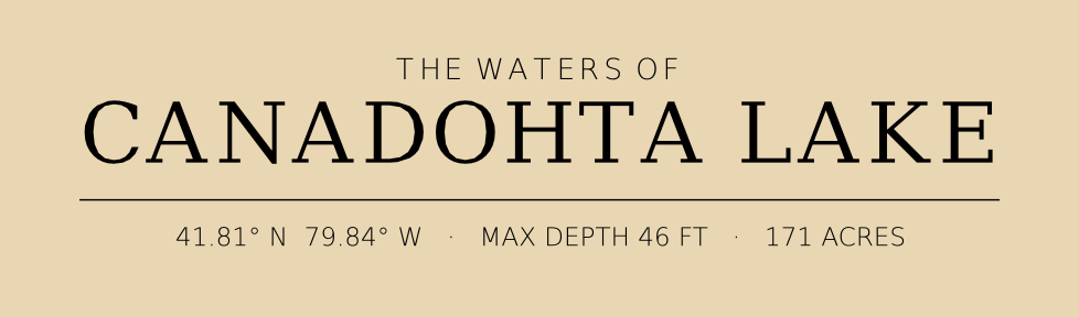 Title block preview