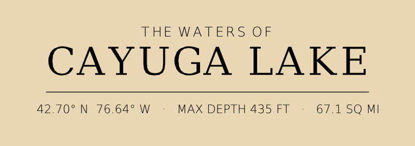 Title block preview