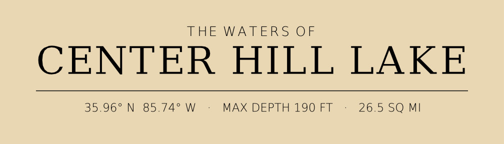 Title block preview
