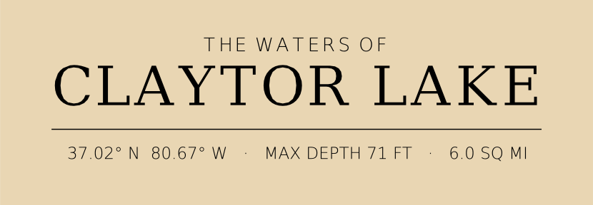 Title block preview