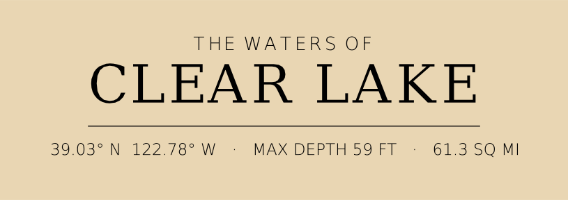 Title block preview