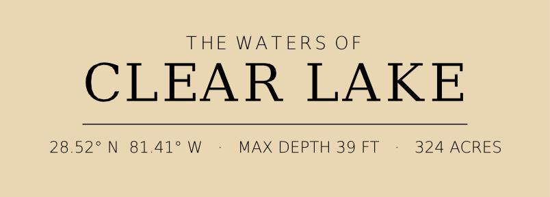 Title block preview