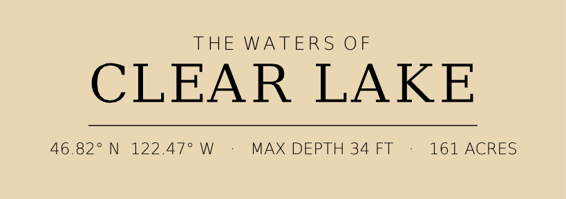 Title block preview