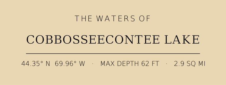 Title block preview