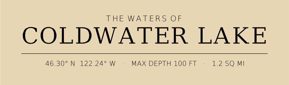Title block preview