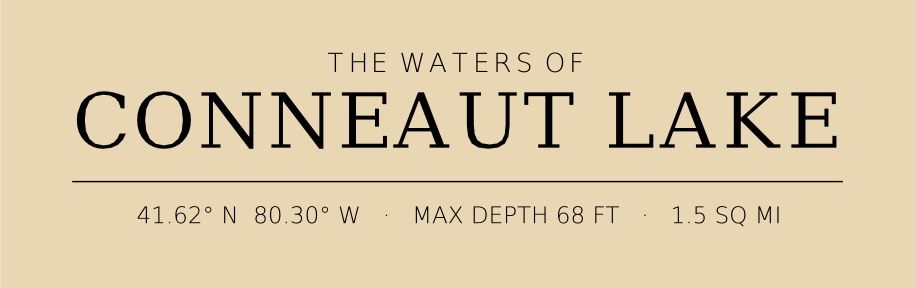 Title block preview
