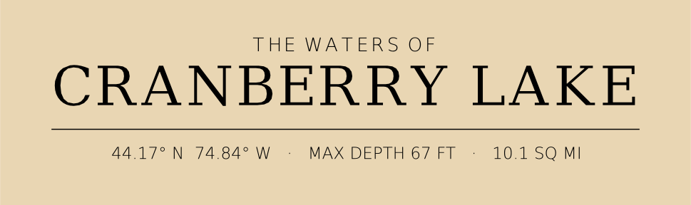 Title block preview