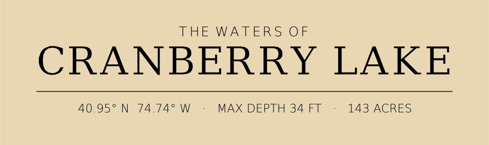 Title block preview