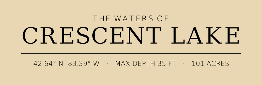 Title block preview