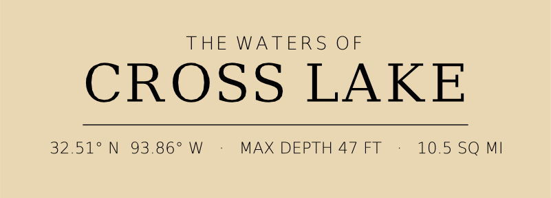 Title block preview