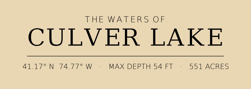 Title block preview