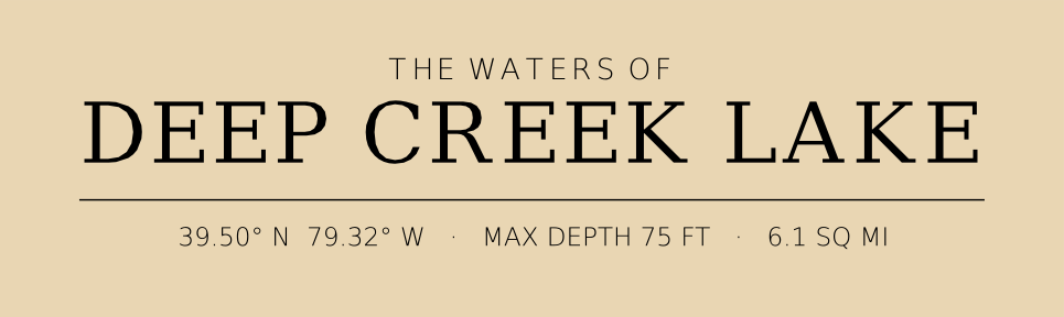 Title block preview