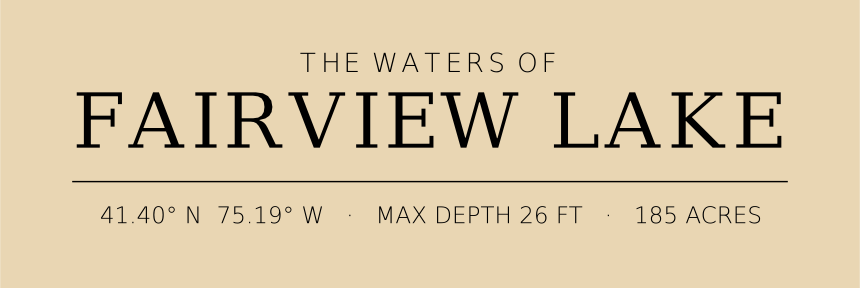 Title block preview