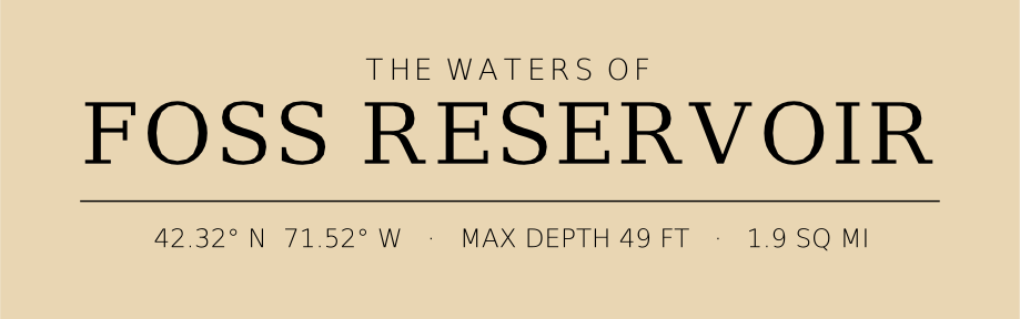 Title block preview