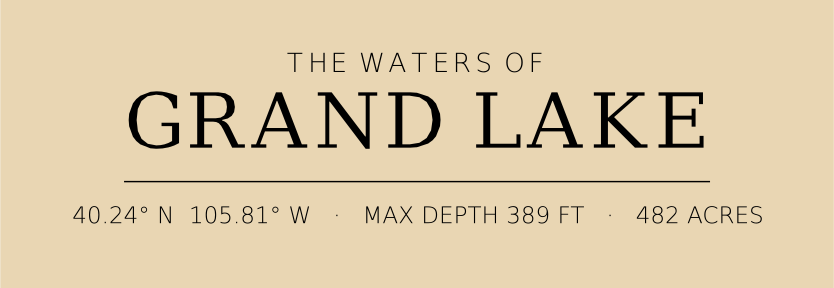 Title block preview