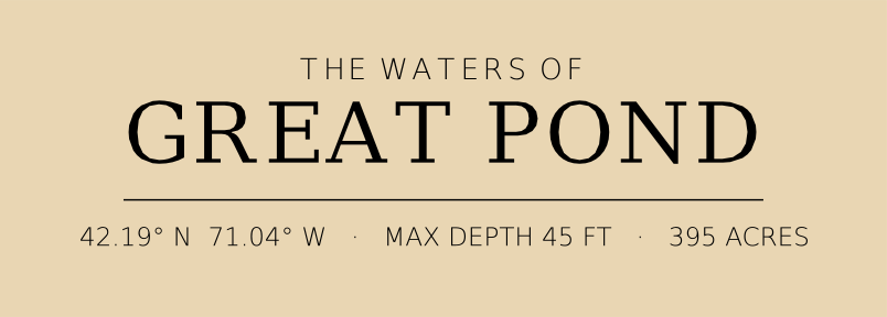 Title block preview