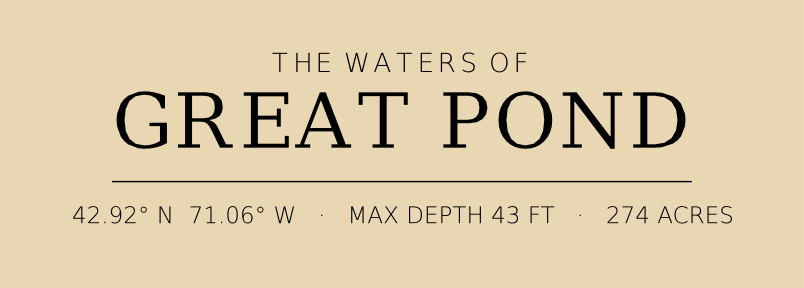 Title block preview