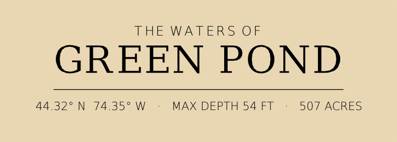 Title block preview