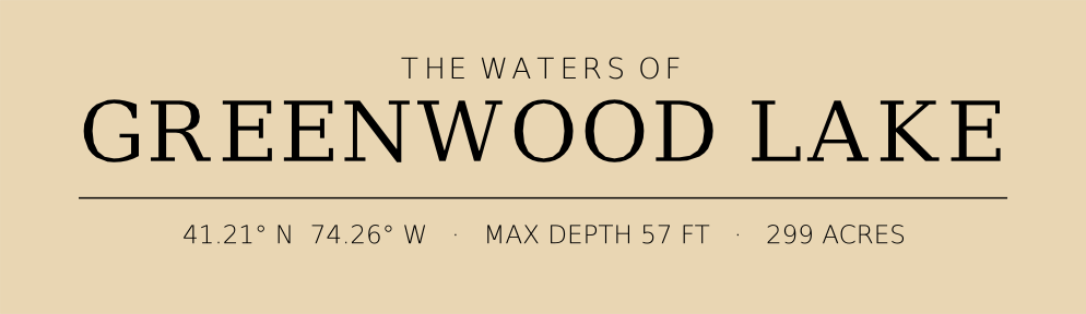 Title block preview
