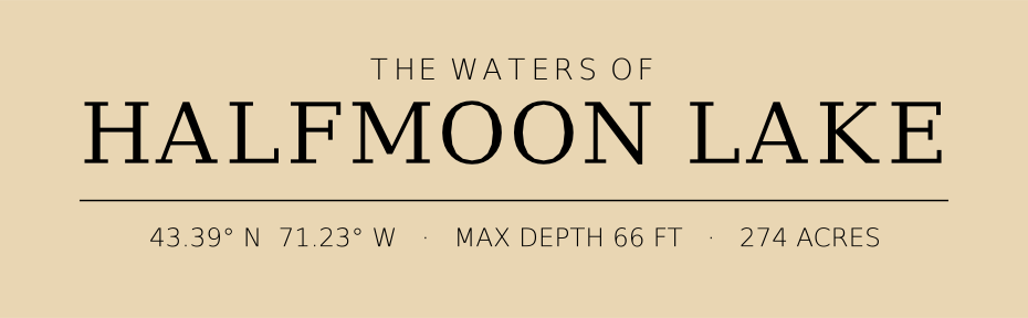 Title block preview
