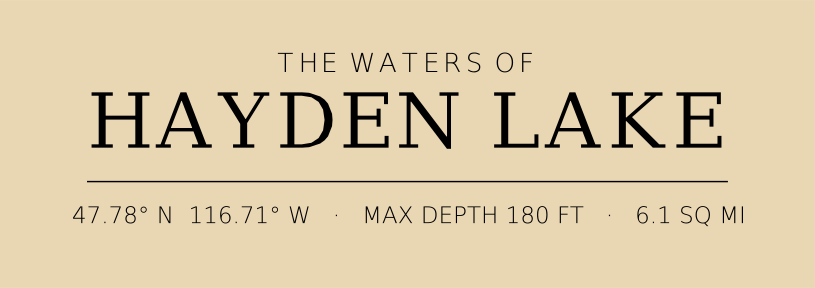 Title block preview