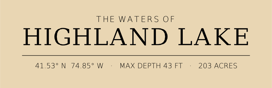 Title block preview