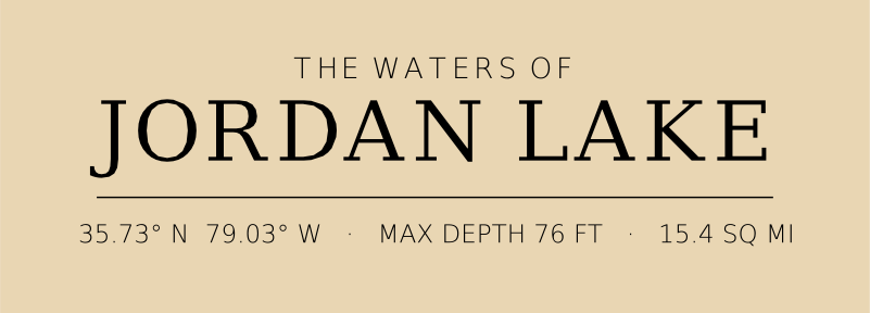 Title block preview