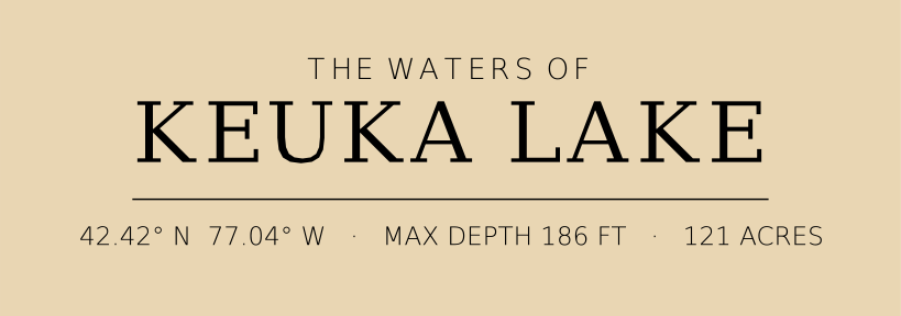 Title block preview