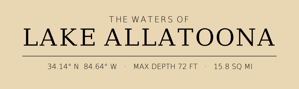 Title block preview