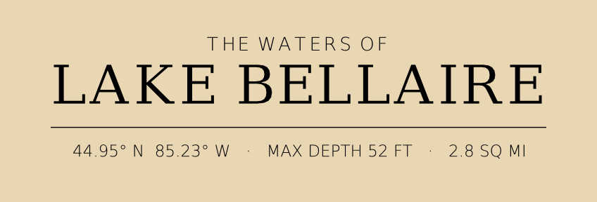 Title block preview