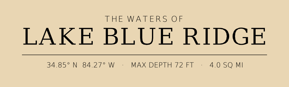 Title block preview