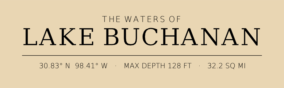 Title block preview