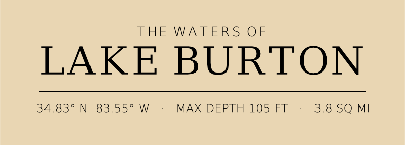 Title block preview