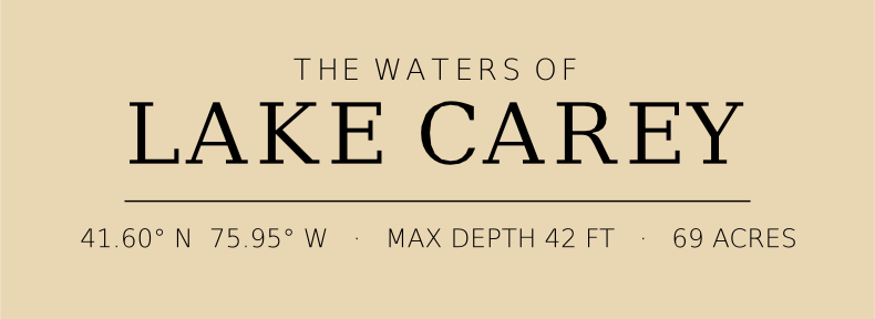 Title block preview