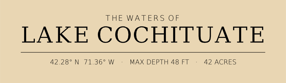 Title block preview
