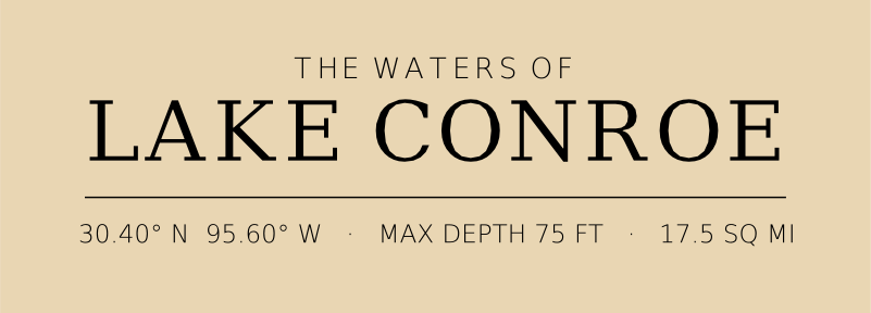 Title block preview