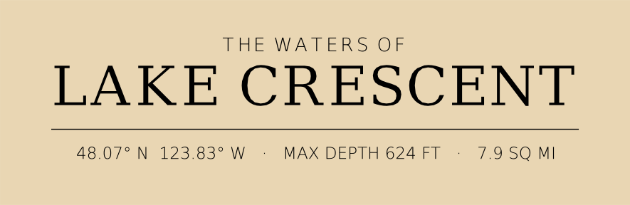 Title block preview