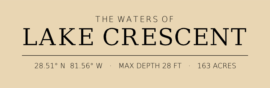 Title block preview