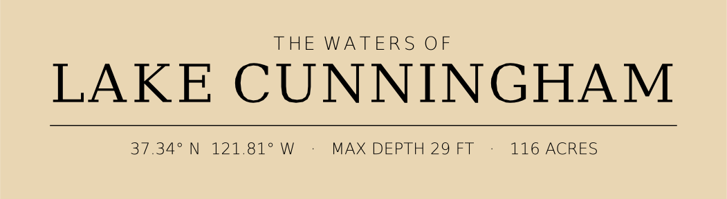 Title block preview