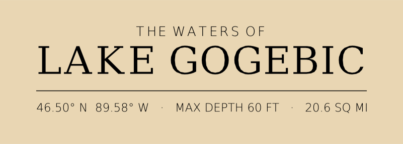 Title block preview